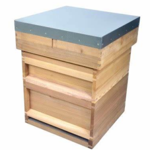 National Full Hive
