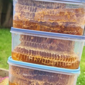 Fresh honey comb