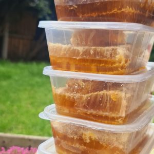 Fresh honey comb