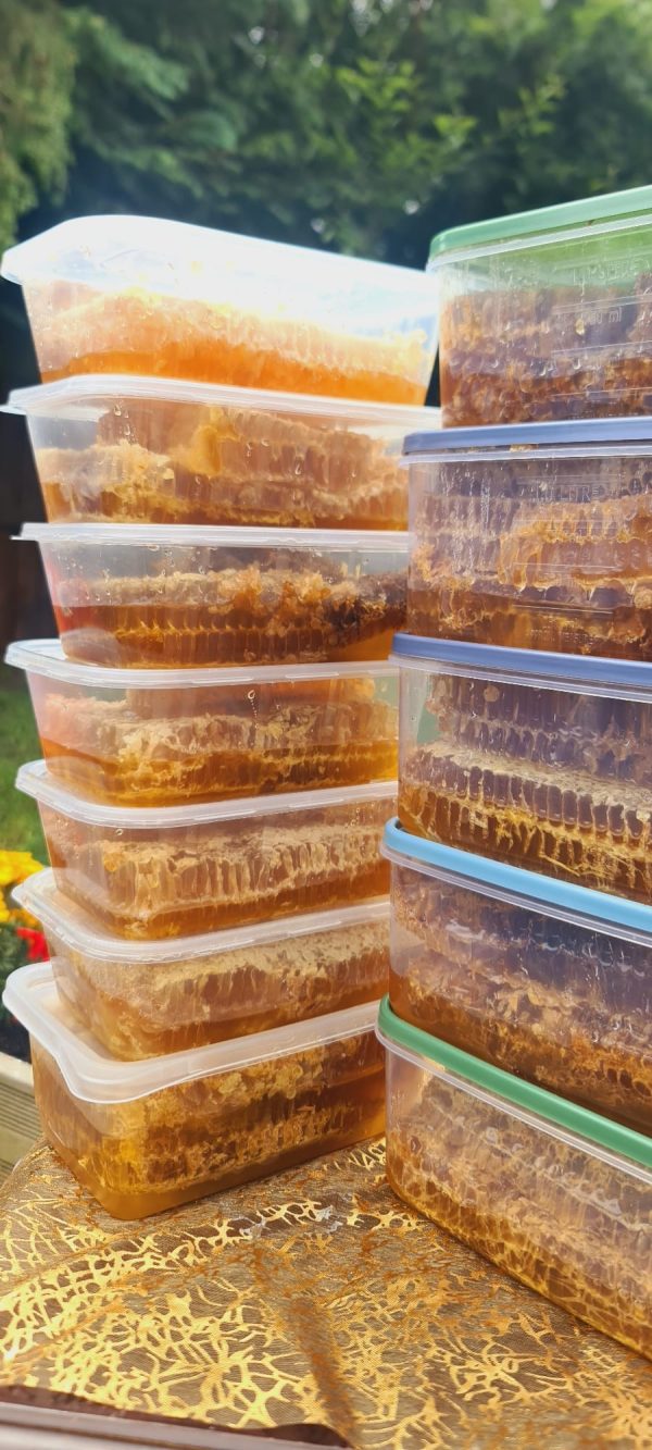 Fresh honey comb - Image 3
