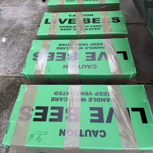 Nuc deposit